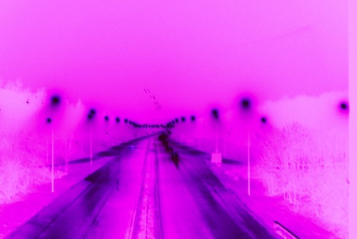 tumblr_lz566pDbgY1qatkcao1_500.jpg