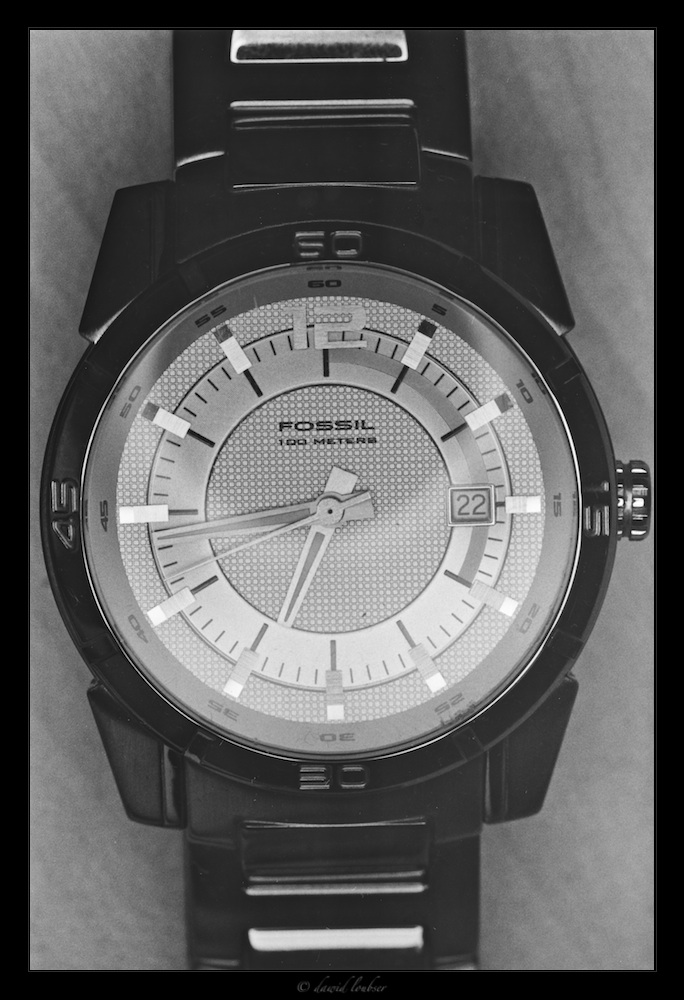 Fossil_by_philosomatographer.jpg