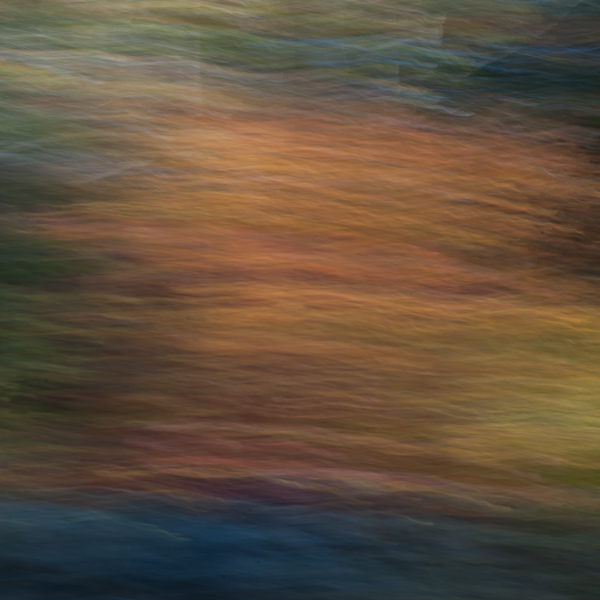 dsc1533.jpg