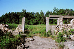 115006510.jpg