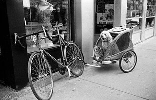 19140881513_4604ed9ba6_n.jpg