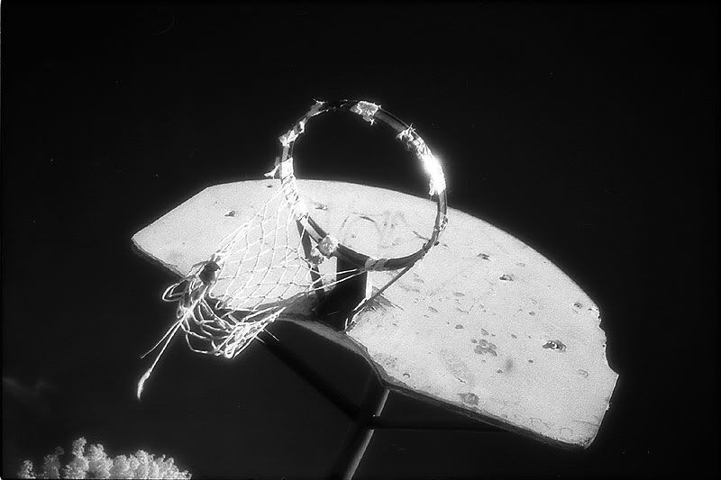 hoops.jpg