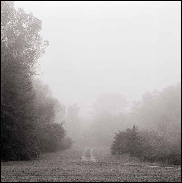 september-morning-fog-1.jpg