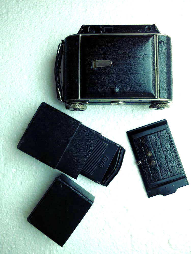 certo_dolly_IMG_7684.jpg