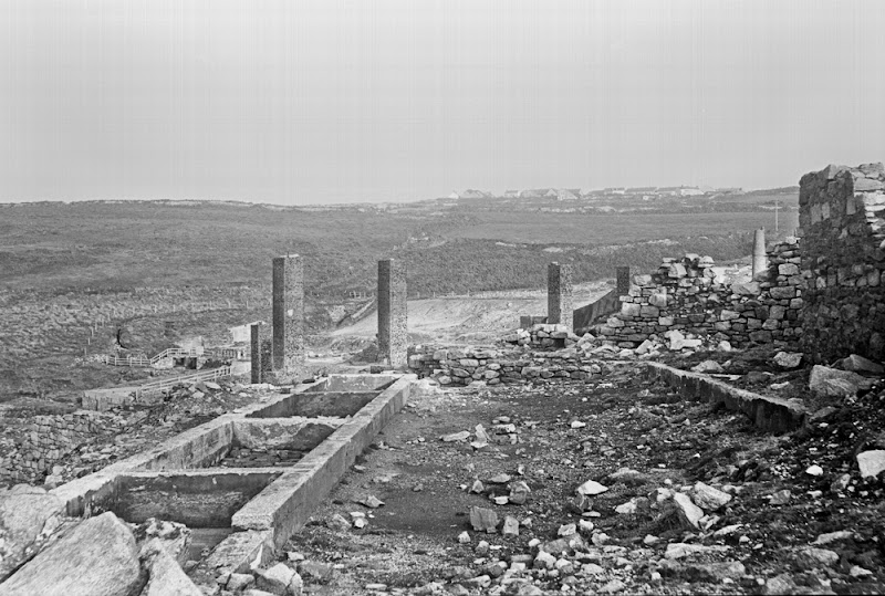 mine_sprting_6x9.jpg