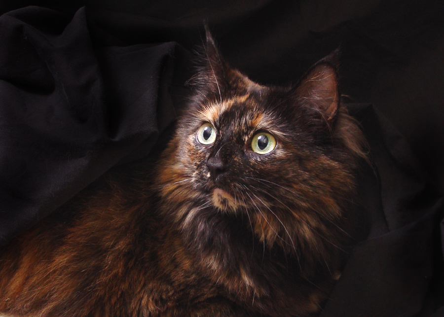 5x7portrait.jpg