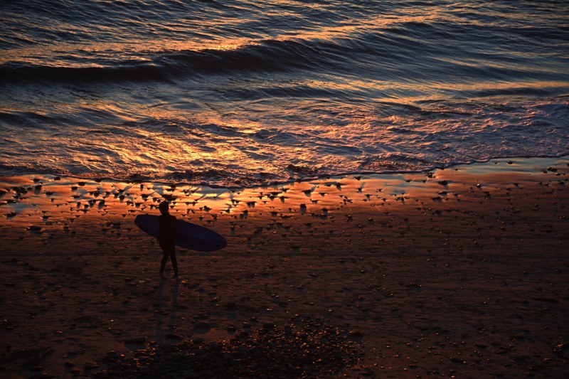 20160209surferonbeachsmalltoshare640x.jpg