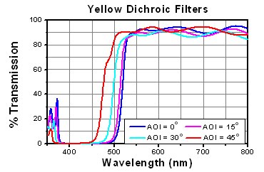 Yellow.jpg