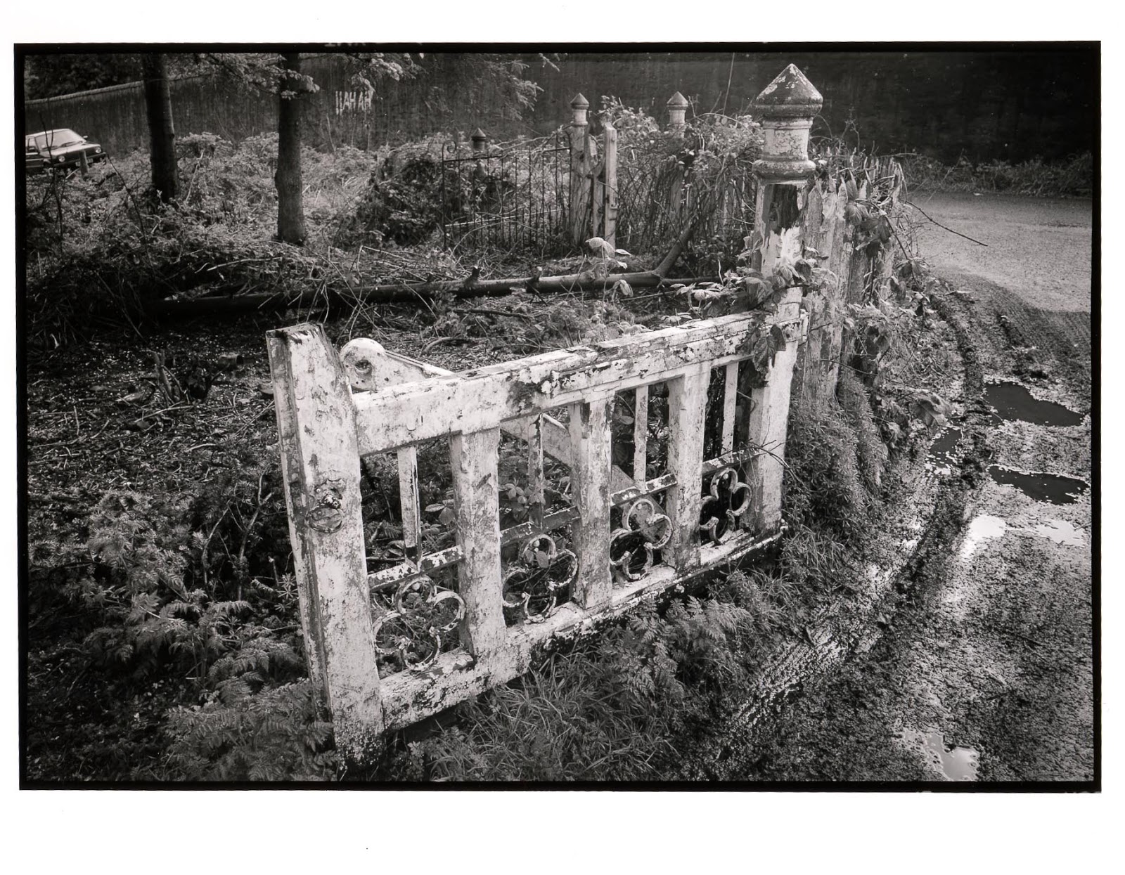 gate+colour.jpg