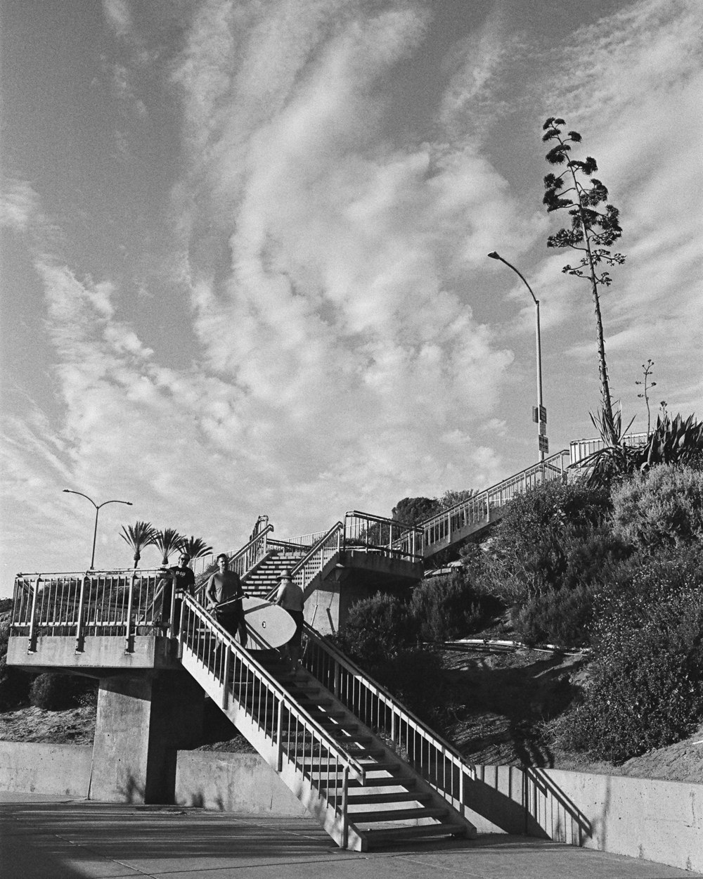 20210917HP5_Carlsbad_1250px_17530019v1.jpg