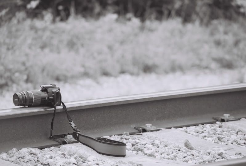 5928790-011.jpg