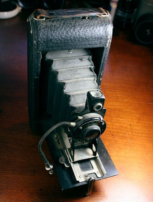rexo1_zps39b1173f.jpg