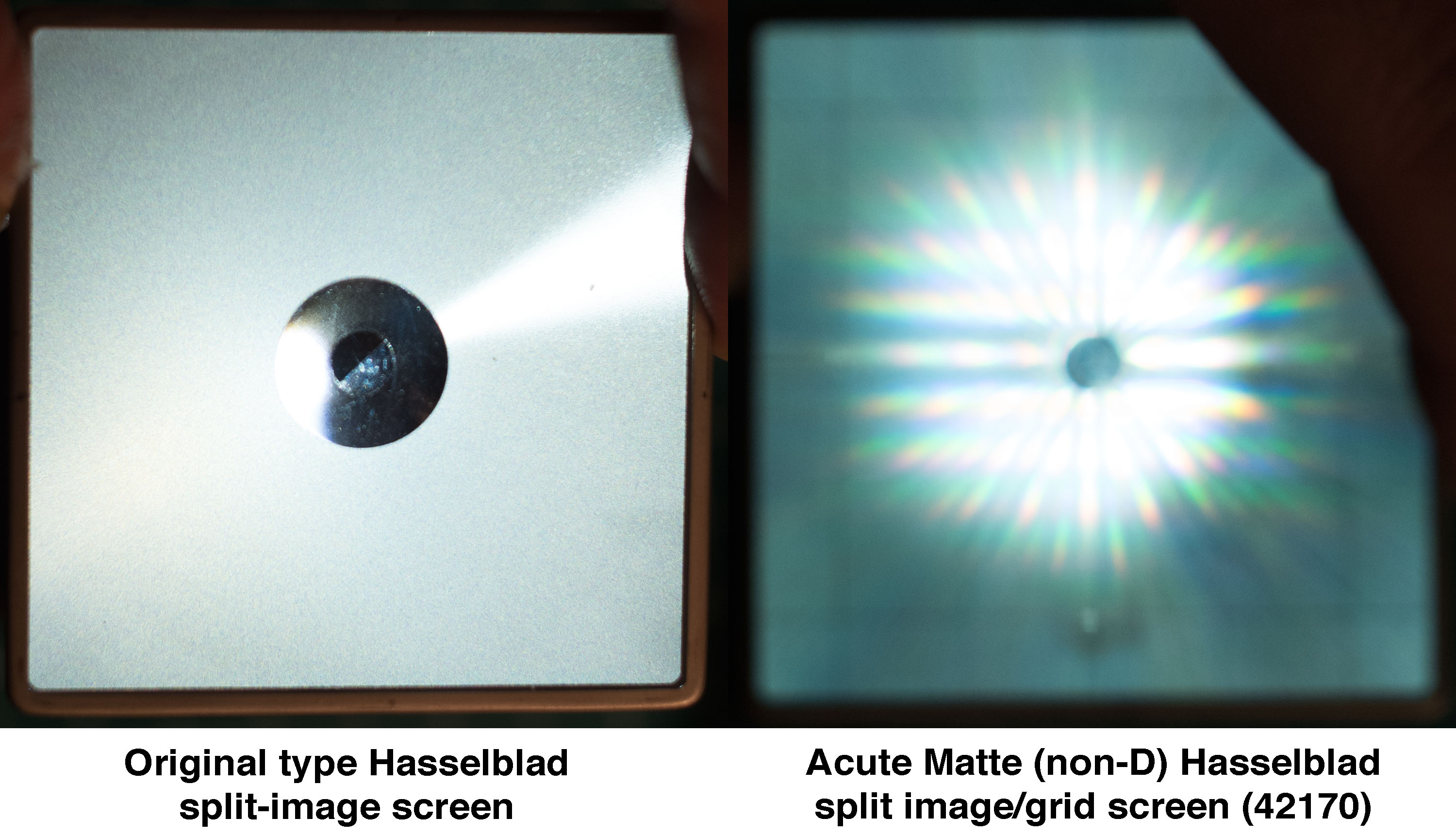 bladscreen.jpg