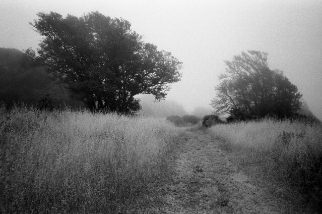 www.flickr.com