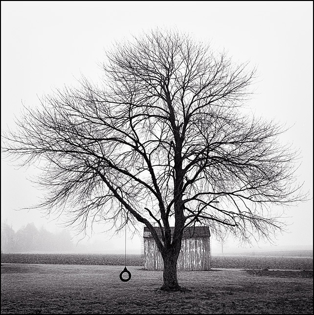 tire-swing-3.jpg