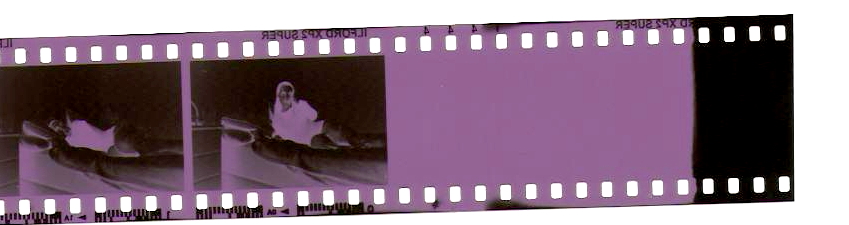 3293710200_c1e69237f5_o.jpg