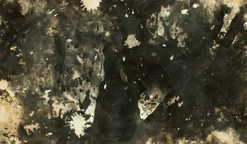 4935677958_88ee03d177.jpg