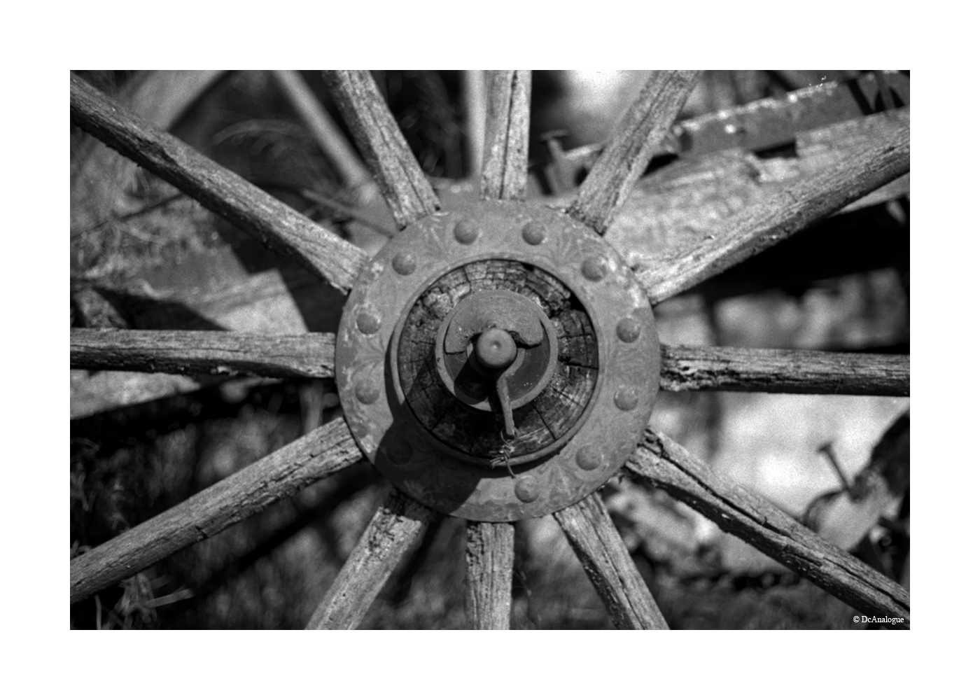 leicare_fp4_001_030.jpg