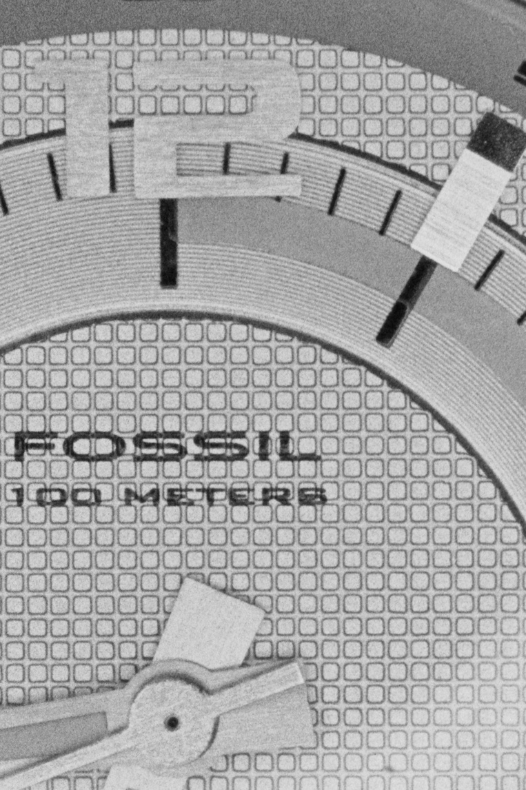 Fossil_Crop_by_philosomatographer.jpg