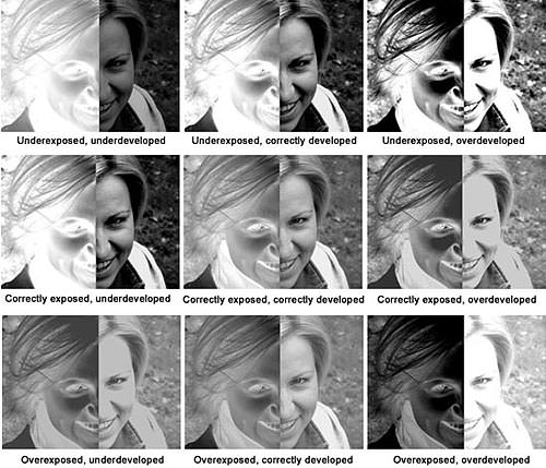 devchart.jpg