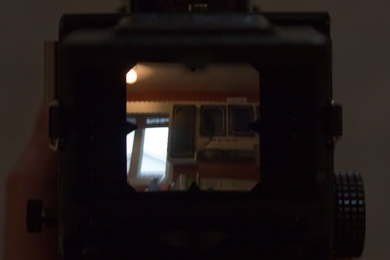 _MG_5776.jpg