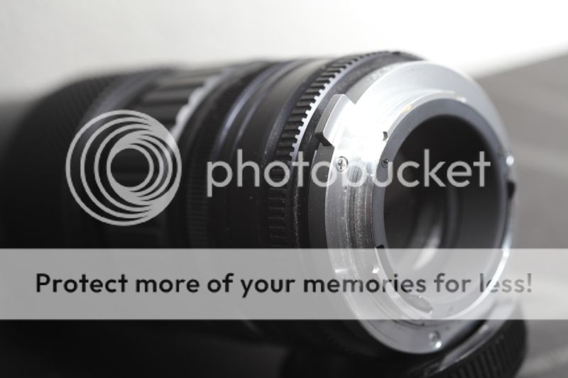 lenses59.jpg