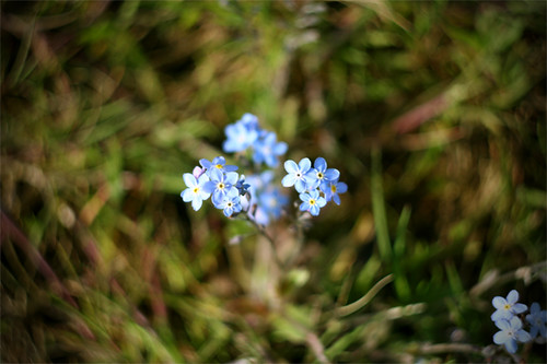 2459591067_f7d6be050d.jpg