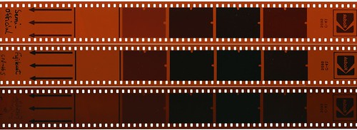 3341738882_cdfb05f54c.jpg