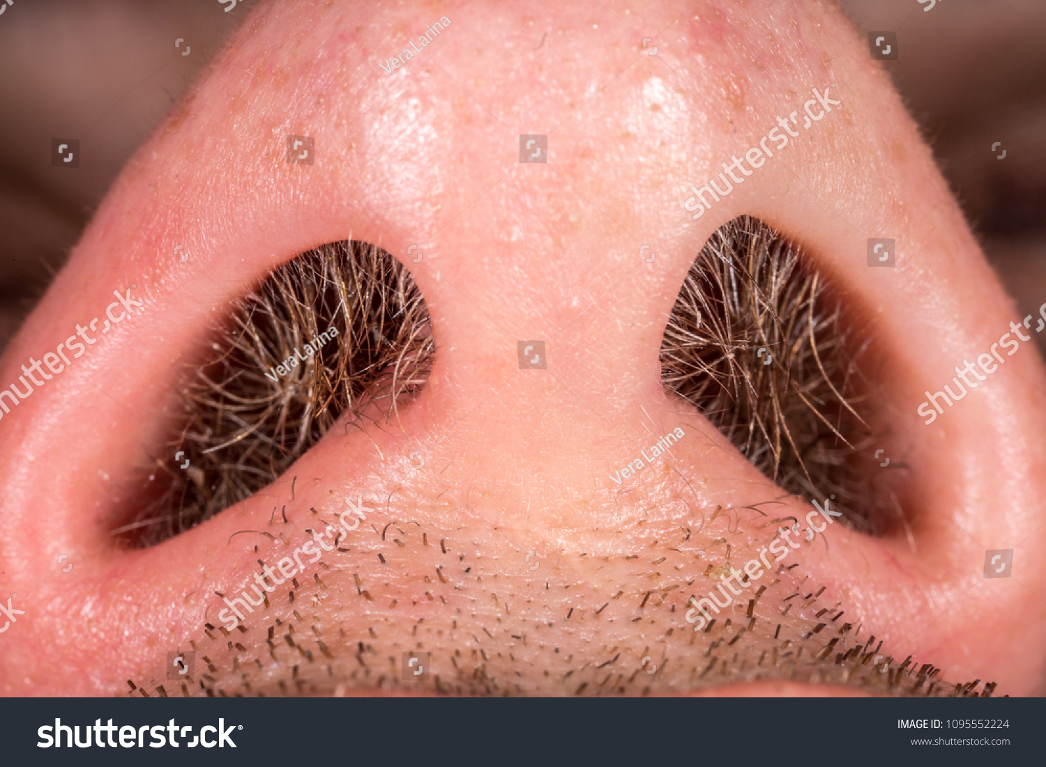 stock-photo-hair-in-the-nose-1095552224.jpg