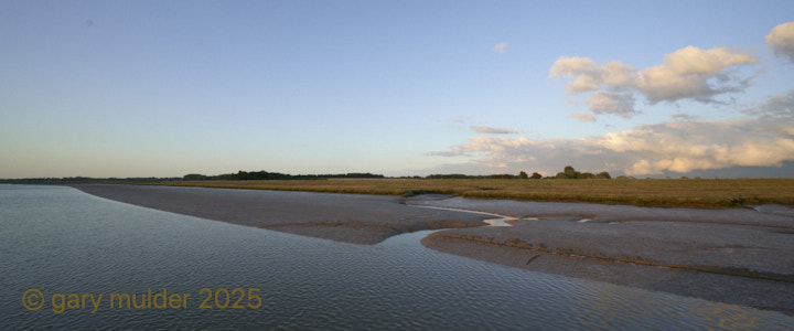 NZ7_0486.jpg