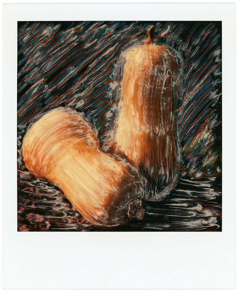 polaroid-butternut-1.jpg