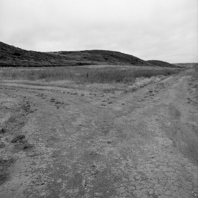 mvNT8vjl.jpg