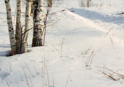 4990-segment.jpg