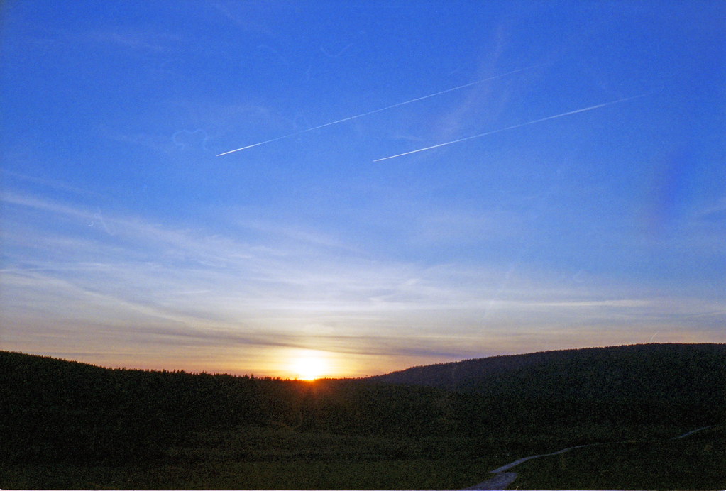 3549475770_d608ab05a8_b.jpg