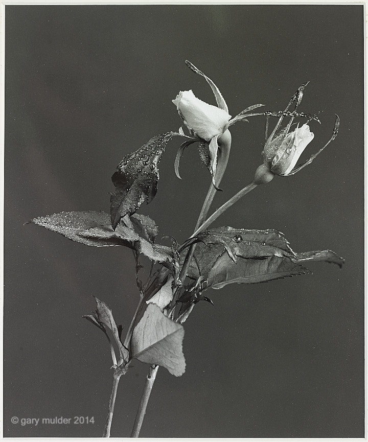 Image0093.jpg