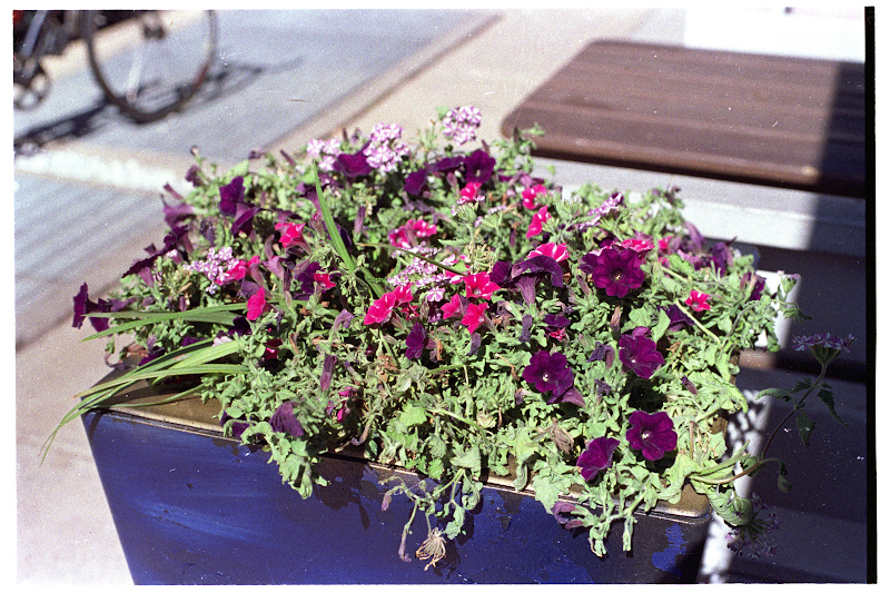 DLDC20071_F100_NS_0004w.JPG