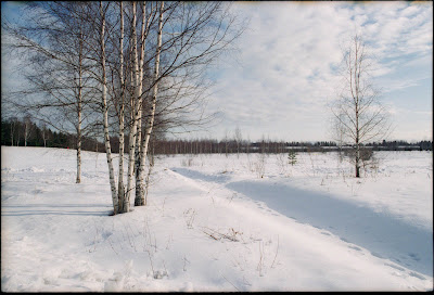 drumScan-2766.jpg