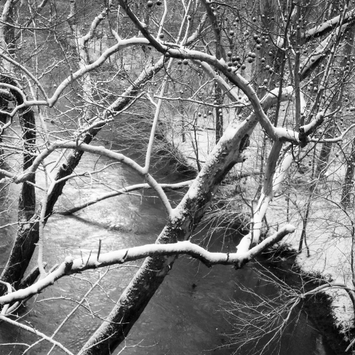 www.darkroomprint.com