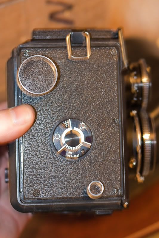 _MG_5774.jpg