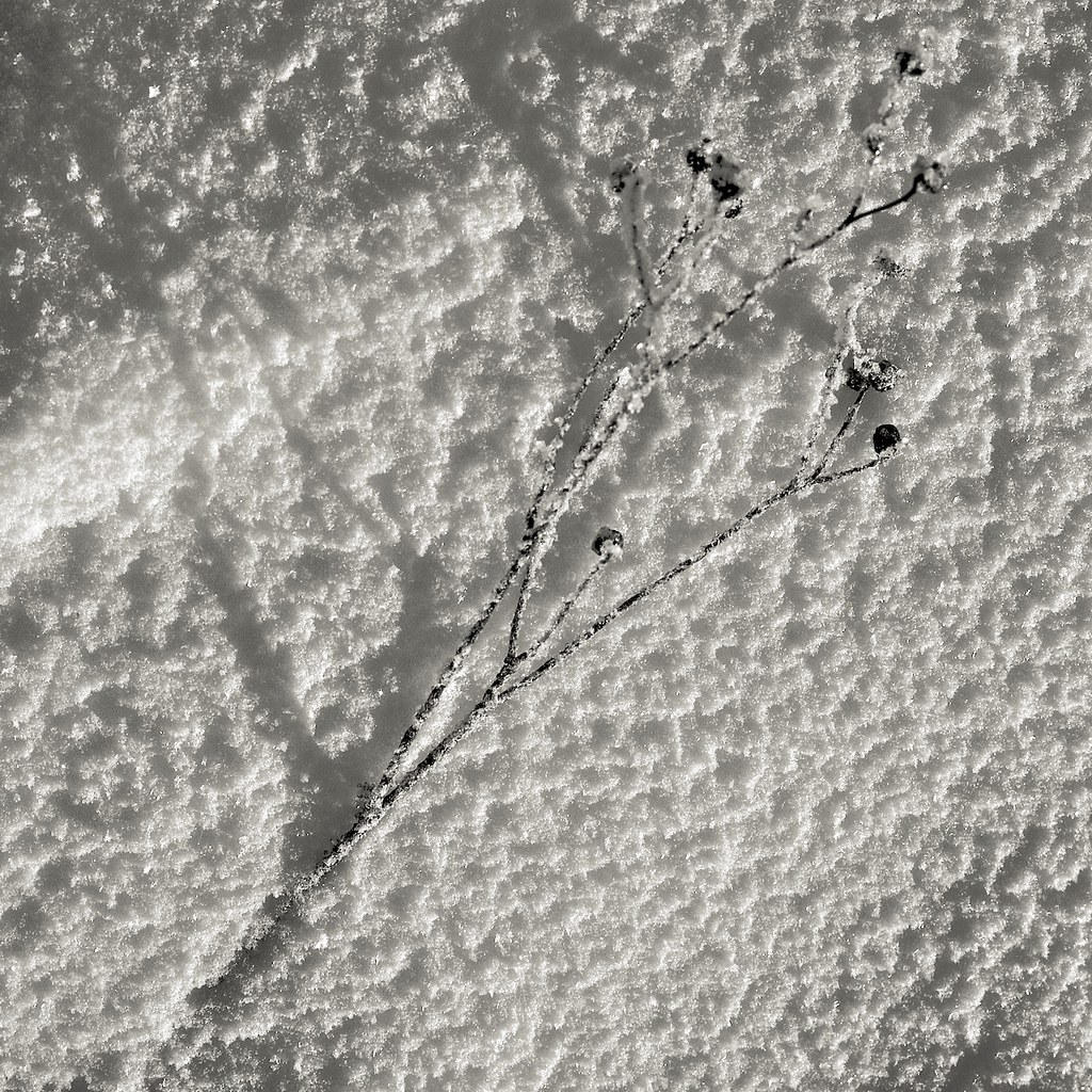 5260727073_5191643c84_b_d.jpg