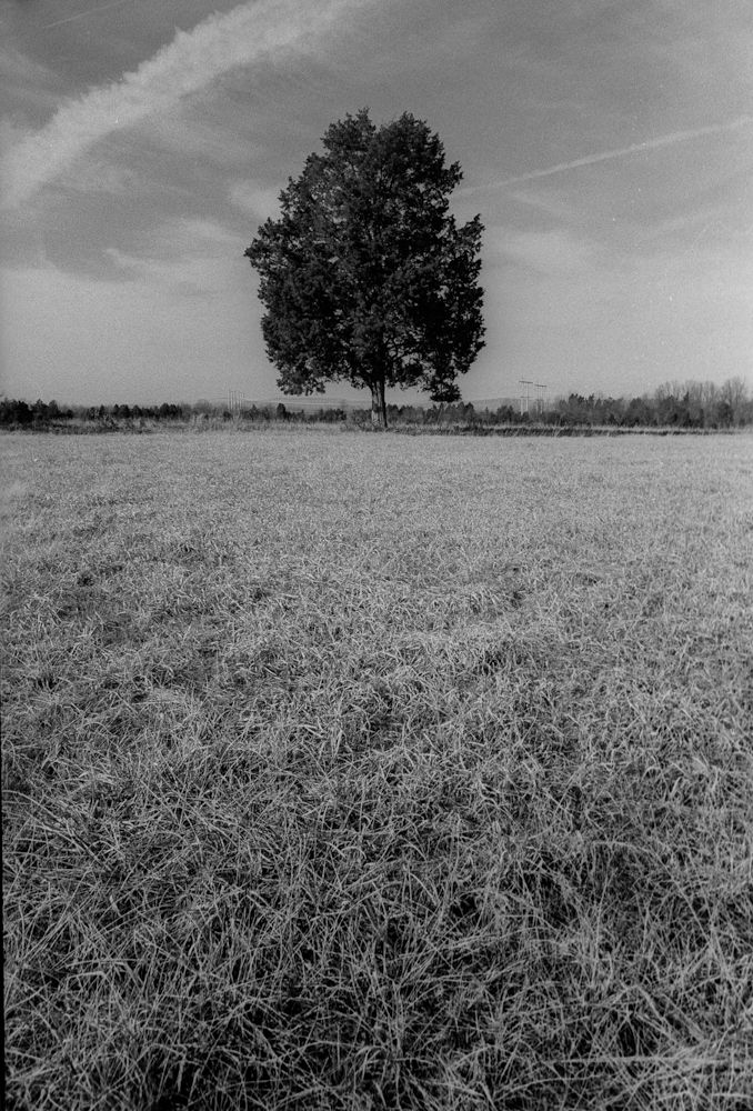 Scan-130131-0009_zps840f3e8c.jpg
