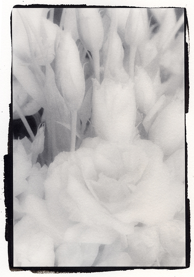 testscan02.jpg