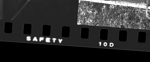 35269889956_27573f772f_z.jpg