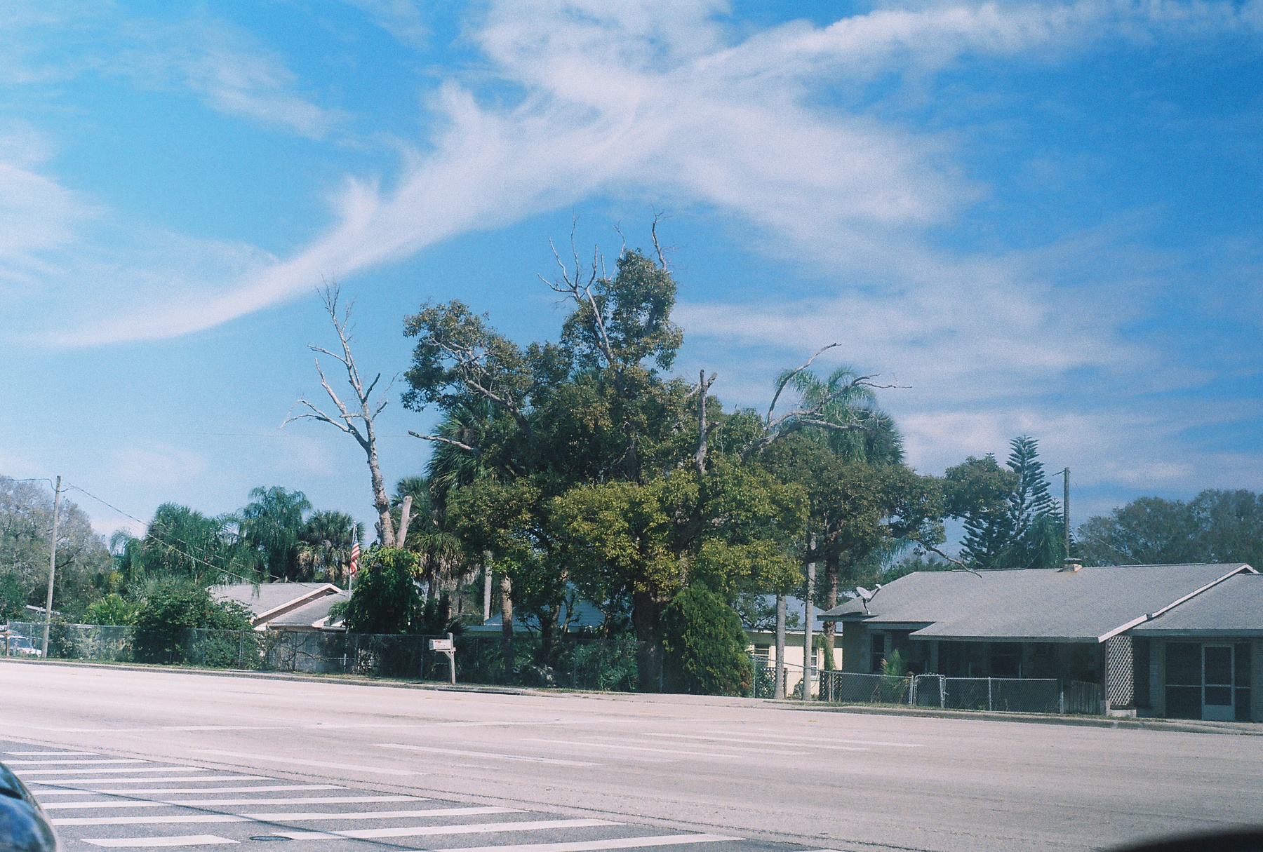 R1-08459-004A.jpg