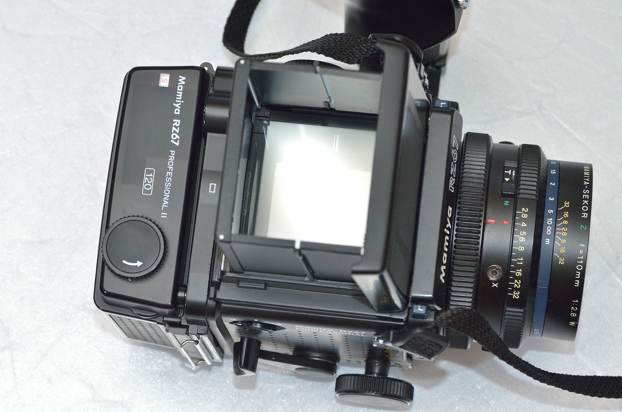 DSC_9556-X2.jpg