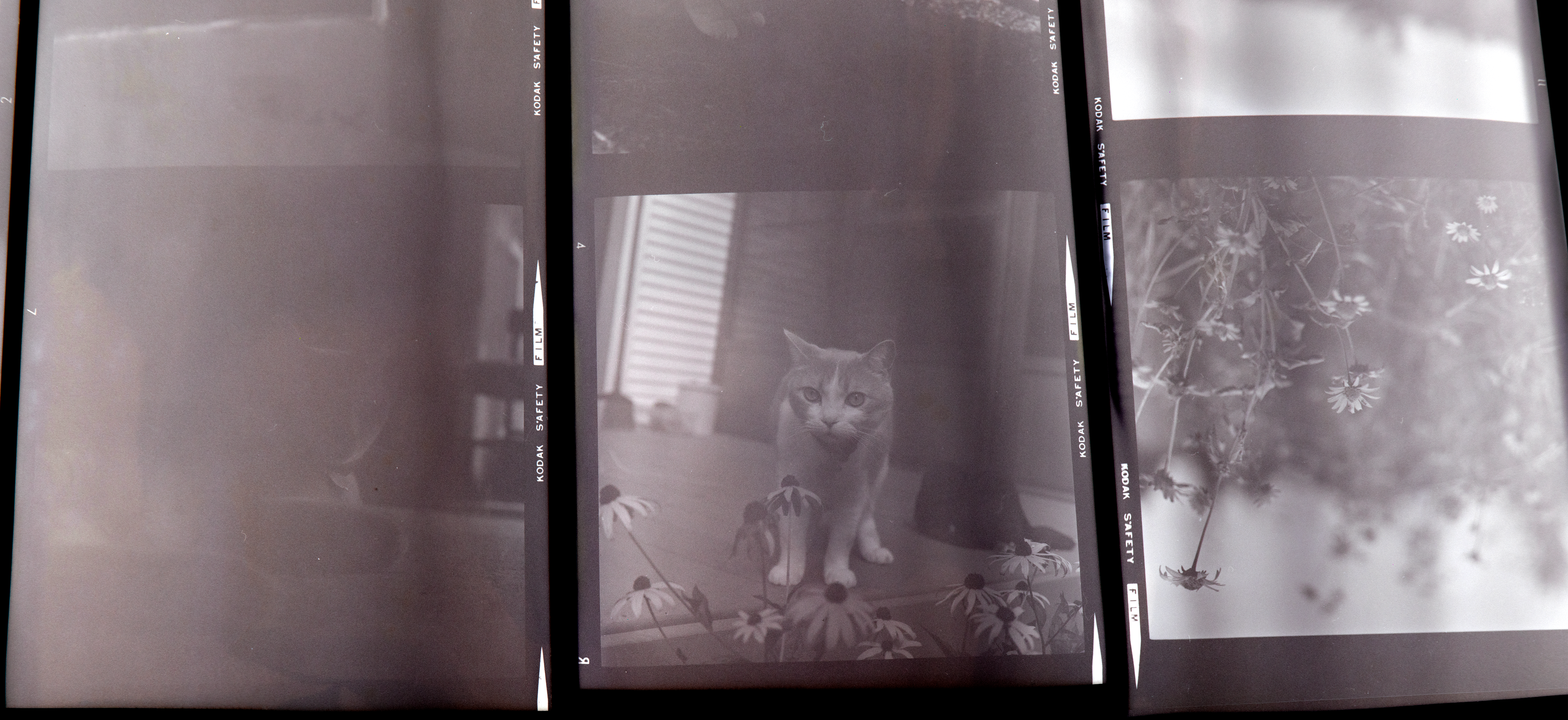 P1029166.png