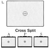 scrntypel.jpg