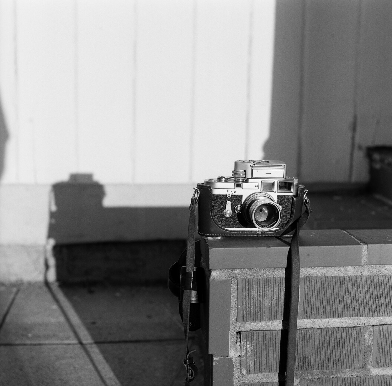 20211020Leica_1250_34920007.jpg