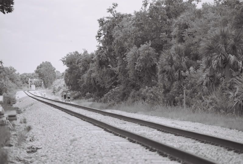 5928790-010.jpg