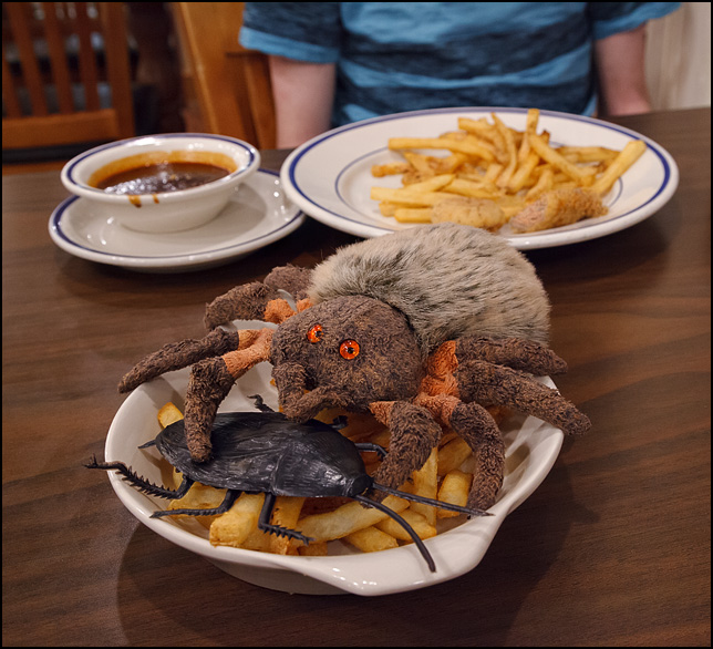 hairy-spider-eating-1.jpg